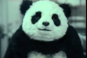 【おもしろCM】キレパンダ　Never say no to Panda！